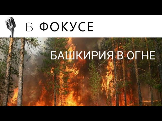 В БАШКИРИИ ПОЛЫХАЮТ ЛЕСА смотреть онлайн