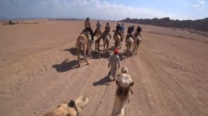 Египет. Полный экстрим! Шарм эль Шейх с высоты птичьего полета. Отдых в Египте 2020