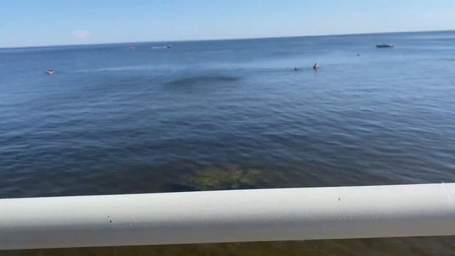 ЖИЗНЬ В КАЗАНИ/ЛАИШЕВО/КАМСКОЕ МОРЕ 2021//ПЛЯЖ КАМСКОЕ МОРЕ/ОБСТАНОВКА НА ПЛЯЖЕ смотреть онлайн