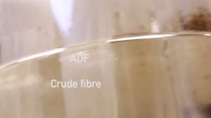 FIBREBAG  система для определения ADF-, NDF- и сырой клетчатки от C.Gerhardt