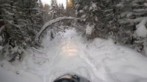 Тайга Патруль 800 SWT