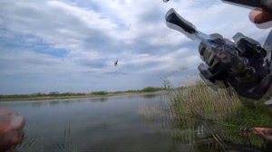 ? КУБАНСКАЯ РЫБАЛКА на РЕКЕ 1-я Понура! Рыбалка Краснодар.