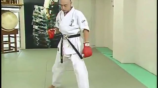 Лучшие техники КУДО Основы нанесения ударов