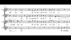Palestrina: Missa Ut re mi fa sol la - Credo - Sixteen