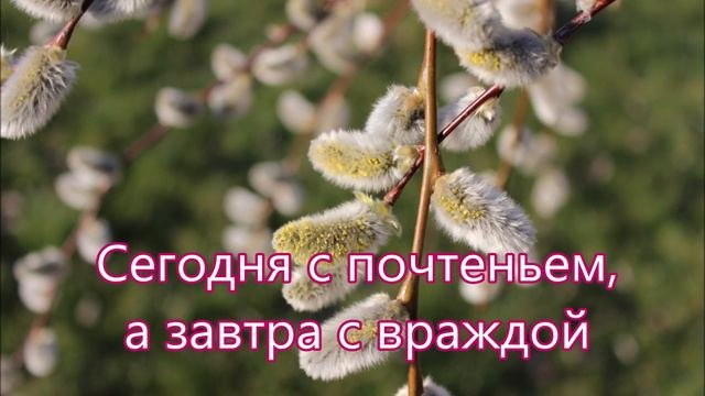 Сияет под солнцем Иерусалим///  на Вербное