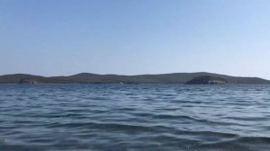 Наше путешествие на остров Попова. #Globaldrive #ВидеоDrive2020