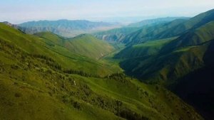 "Флора и Фауна" Чуйской Области