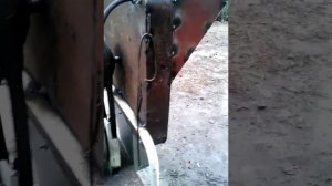 корморезка своими руками/Feed cutter with his hands