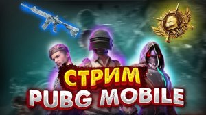 ААА ЭТО СТРИМ ПО ПУБГ МОБАЙЛ (◕‿◕) ? ИГРАЕМ В PUBG MOBILE