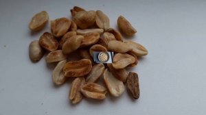 КАК ПРИГОТОВИТЬ ИЗ БАТОНА ПИРОЖНЫЕ "КАРТОШКА"!?