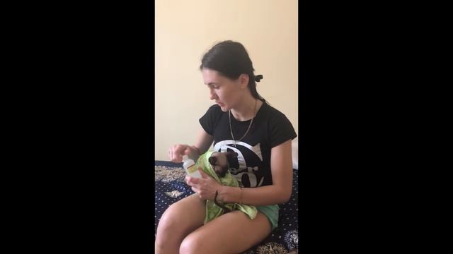 КАК МЫТЬ КИСКУ ? | КСЮША МОЕТ КИСКУ ! | канадский сфинкс