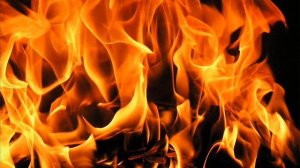 Миша Каминский