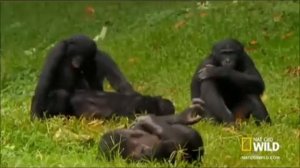 Кайфуем сегодня мы с тобой кайфуем