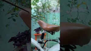 Дешевый подседельный амортизатор, одни минусы - деньги на ветер(((
