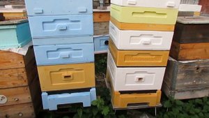 ответы на вопросы по улью биненхаус ( bienenhaus ) - в какой цвет лучше красить улей