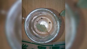 Тушенка в аэрогриле 3 часа 150°