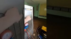 Ремонт морозильной камеры