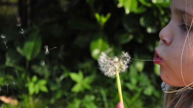 Наталия - Что в имени твоем и судье ? смотреть онлайн