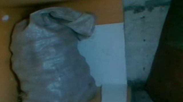 Как сохранить картошку, если нет овощной ямы. смотреть онлайн