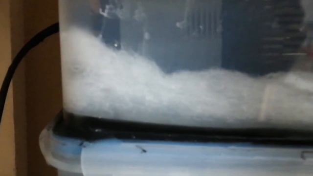 Видео 36: Акваскейп- из 50 Л. в аквариум 160 литров. Коряги, камни. Рыбки. Природный.Тумба. Фон. смотреть онлайн