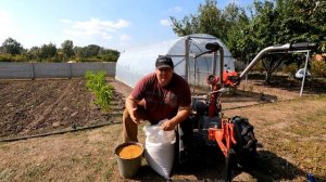 Сидераты и севооборот. Правильный посев для удобрения почвы.