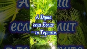 «Вас не любят? Ерунда… Вы ЛЮБИТЕ!» – великолепное стихотворение на все случаи жизни