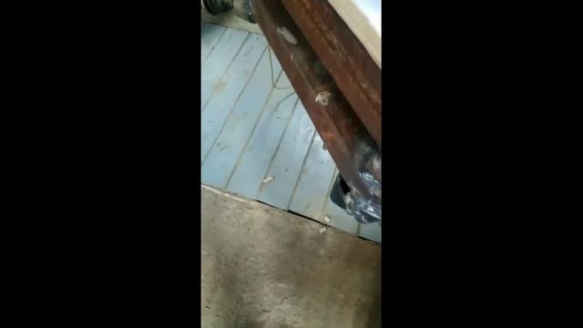 Вездеход- Каракат ][ Собрали своими руками. смотреть онлайн