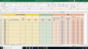 eBay Product Manager and Profit Excel System (Demo and Download)