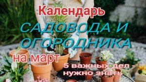Календарь садовода и огородника на март. 5 важных дел, о которых нужно знать