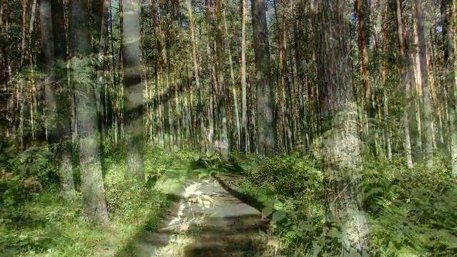Горный Алтай. Путешествие: Ая - Чемал - Аскат. Gorny Altai. The journey:  Aya - Chemal - Askat