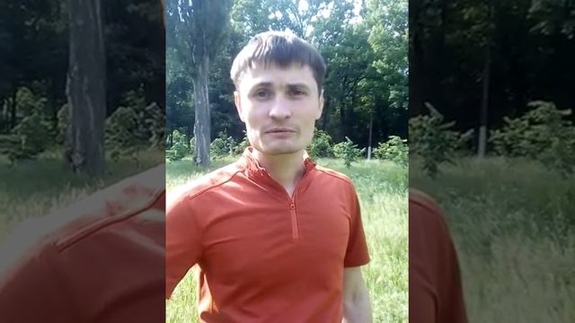 Защитим стволы деревьев от скоса коры!