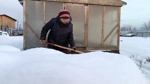 Зимовка пчёл под снегом в пеноуликах