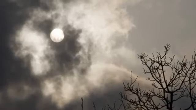 Иван Рашавец исполняет романс на стихи Сергея Есенина "Я снова здесь…", музыка Владимира Булюкина смотреть онлайн