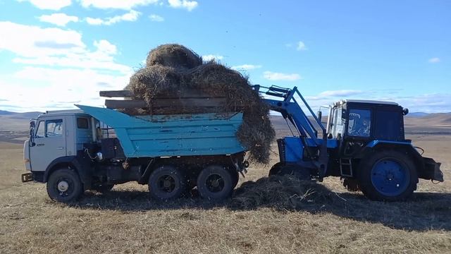 Завозим  корм для  крс работаем вместе