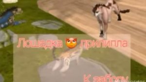 ?Прикол-вайлд крафт?Ты стих для школы выучила?? да слушай: