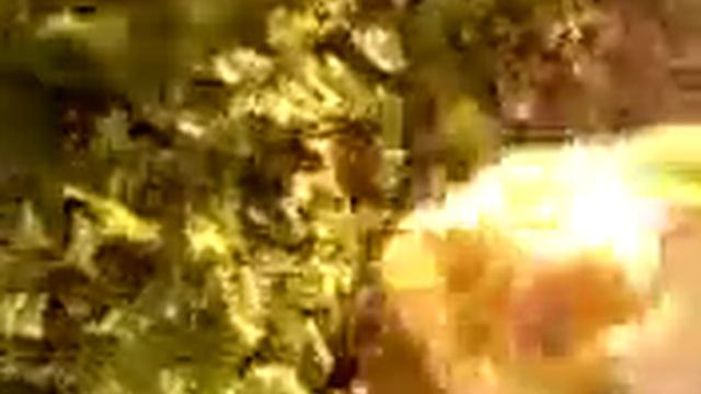 кот поймал крысу смотреть онлайн