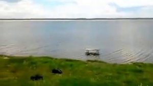 д.Такташи Мишкинский р-он. Курганская обл.