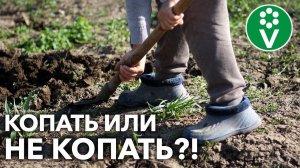 ПОЧВУ ПЕРЕКАПЫВАТЬ ОСЕНЬЮ ИЛИ ОТЛОЖИТЬ НА ВЕСНУ? Разбираем плюсы и минусы перекопки