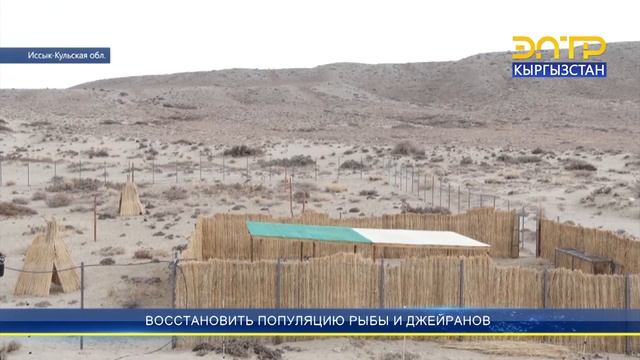 ВОССТАНОВИТЬ ПОПУЛЯЦИИ РЫБ И ДЖЕЙРАНОВ смотреть онлайн