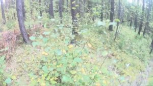 НА ИЗБЕ. МОИ ПЕРВЫЕ ТРОФЕИ!!!!.mp4