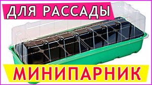 Мини парник для рассады на подоконнике с кассетами. Отзыв