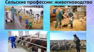 Виртуальная выставка «Профессии труда»