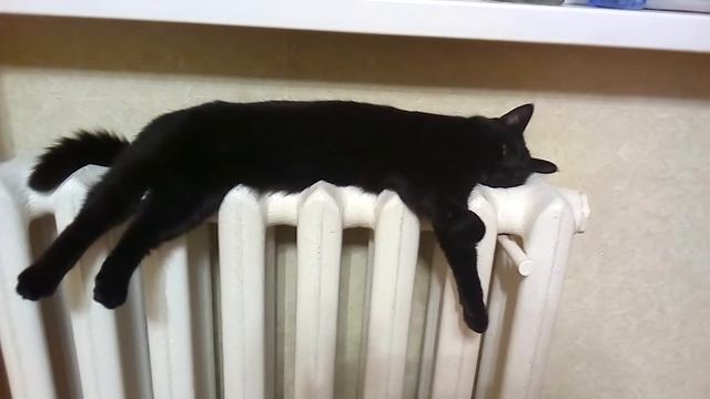Наконец-то дали отопление