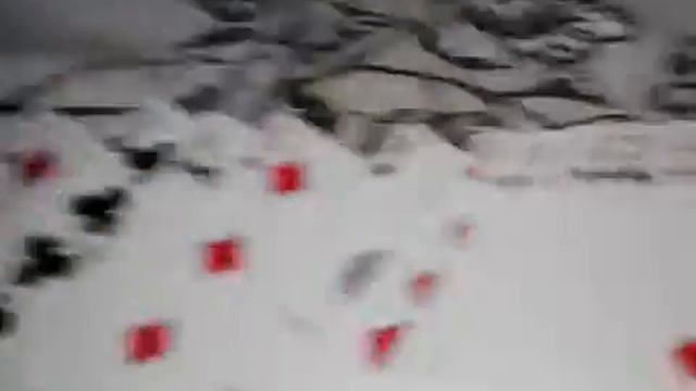 обзор колоды карт BICYCLE Standart смотреть онлайн