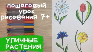 Разные цветы рисунок карандашом. Рисунки цветов для срисовки. Уличные растения. Клумба с цветами