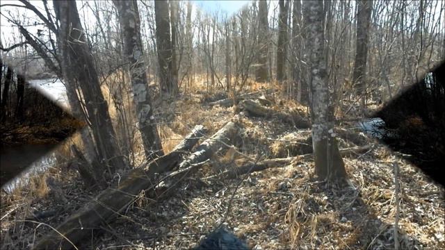 Природа Еврейской АО#Царь природы?
