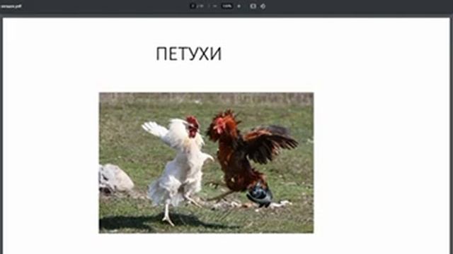 ВАЛОДЯКИБИРСПОРТ ПОЯСНЯЕТ ЗА ТОП 5 ТЮРЕМНЫХ ЗАГАДОК НА ЗОНЕ! ВЫ БУДЕТЕ В ШОКЕ! смотреть онлайн
