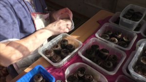 Помирать собирайся, а рожь сей! За мной лучше не повторять!