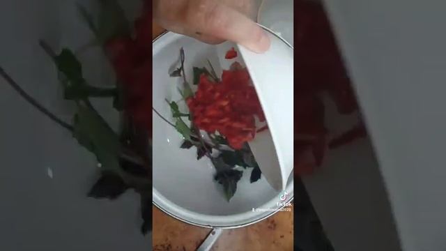 Острые зелёные помидоры! Мировой закусон!!!