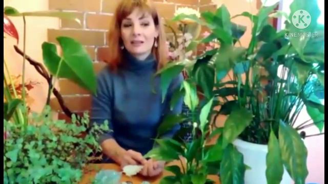 Пожелание от подписчицы Елены для моего канала 2021 год смотреть онлайн